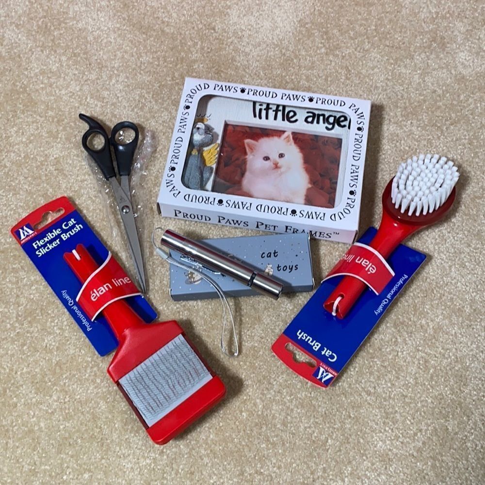 Cat Toy, Grooming and Photo Frame Bundle